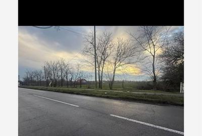 Teren de 6800 mp, în Ciorani - 4