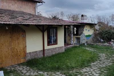 Casă cu Teren 640 Mp în Vințu de Jos - 9