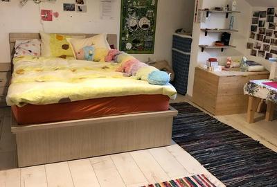 Casă cu 3 camere cu Teren 355 Mp în Ultracentral - 5