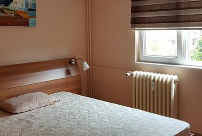 PARTICULAR, Apartament 2 camere, decomandat, Tineretului, de inchiriat - 6