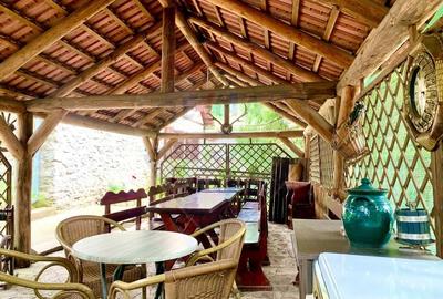 Pensiune cu 13 camere de vanzare in Bulz - 15