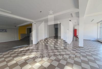 Spațiu comercial, de 153 mp, în Cetate - 2