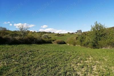 Teren de 4100 mp, în Ampoița - 1