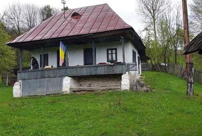 2 camere, 4000 mp,langa lacul Vidraru - 5