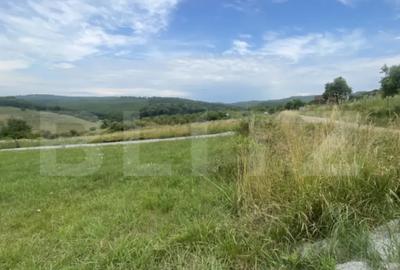 Teren de 2300 mp, în Central