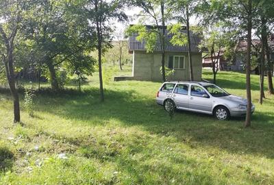 Teren de 5000 mp, în Pălatca - 3