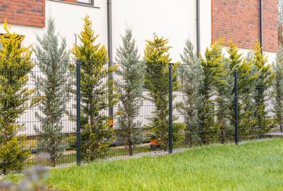 Pădurea Vlăsiei Design Modern Relaxare deplină Vilă cu Piscină, Comision 0% - 13