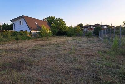 Teren intravilan Buftea, Cartier Flamanzeni, Intrarea Teilor nr. 36 - 6