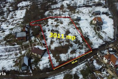 Teren de 3011 mp, în Bradu - 1