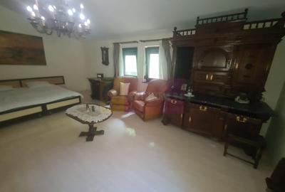 Vila de vanzare in Campina - Zona Lunca Mare - 15