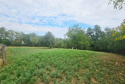Teren intravilan, cu priveliște spre pădure – Vălenii de Munte - 10