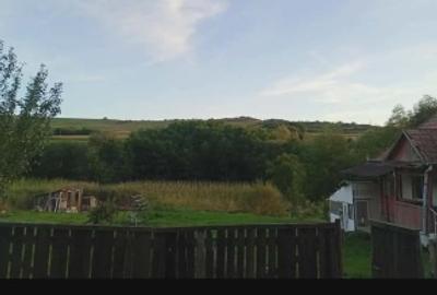 Casă de vânzare - 4