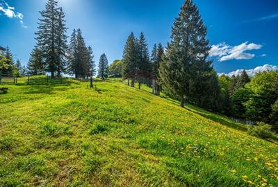 Teren intravilan cu potential turistic si de agrement, zona Trei Brazi - 17
