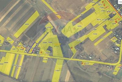 Casă individuală cu 2 camere cu Teren 9200 Mp în Pădureni (Șendriceni) - 13