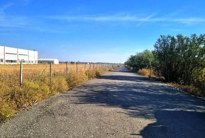 Vanzare Teren industrial  Magurele 8000mp - 10