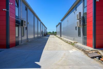De vanzare Hală Nouă 1200mp - Top Pret, in zona Chitila / Rudeni - 2