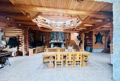 Cabana vanatoreasca din lemn cu vedere spectaculoasa, langa Castelul Cantacuzino - 7
