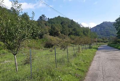 Teren de 7000 mp, în Voia - 8