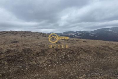 Teren de 2025 mp, în Rășinari - 5