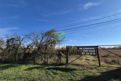 Teren de vanzare -  Bolintin Vale 10 ha - 7