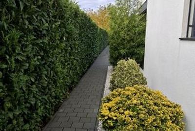 Casa mobilata si utilata cu teren de 432mp - 36