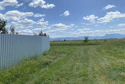 Casa moderna de vanzare in Prejmer - La Stejari - 4