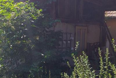 Casă cu 2 camere în Tibru - 7