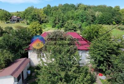 Casă individuală cu 3 camere în Podoleni