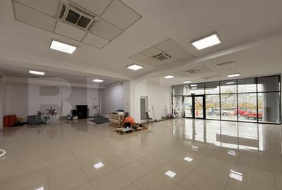 Parter cladire birouri, 156 mp, Calea Severinului - 2