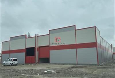 Depozit/hala/spatiu industrial/parc logistic Jilava - Giurg - 13