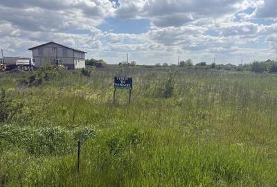 Spațiu comercial, în Ciorogârla - 1