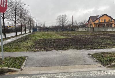 Spațiu comercial, în Paleu - 5