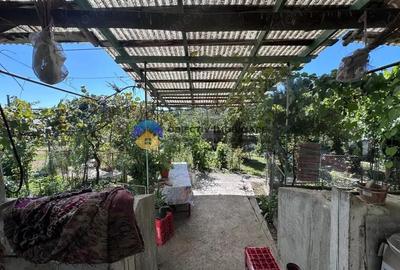 Casă cu 3 camere cu Teren 6817 Mp în Zănești - 10