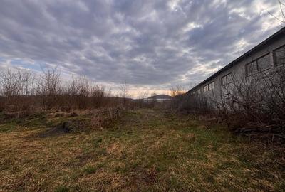 Teren Construcții intravilan de 6500 mp, în Sud - 6