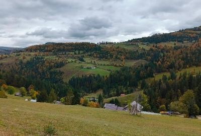 Teren în Arieșeni Teren în Arieșeni - 5