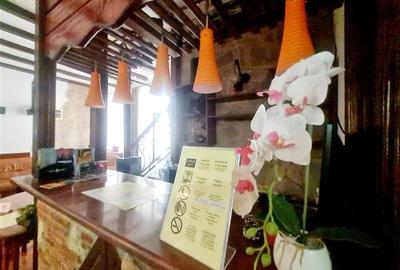 Preluare afacere pensiune administrare in regim turistic, Centrul Istoric - 20