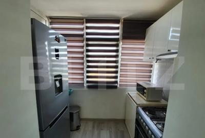 Apartament cu 2 camere decomandat în Lăpuș Argeș - 12