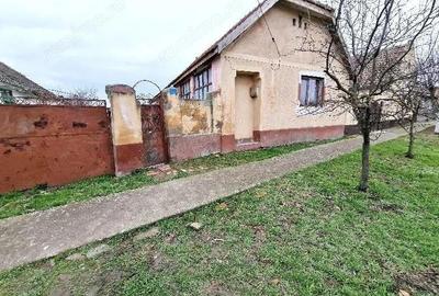 Cota 1/2 casa si teren Pustini?, jud. Timi?-id R1992745 - 3