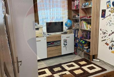 Casa 3 camere, teren 880 mp, beci, foisor, garaj, panouri solare - 7