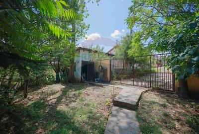 Casa de vanzare cu 1800 mp teren, Paleu - 17
