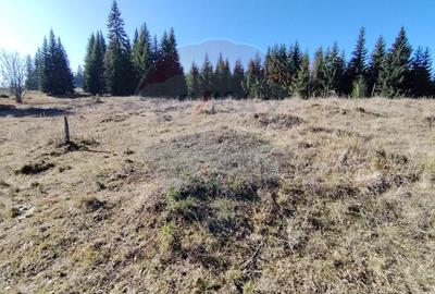 Teren agricol extravilan de 16289 mp, în Coverca - 11