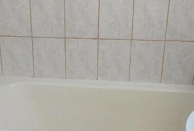 Garsonieră nedecomandată în Tătăruși - 2