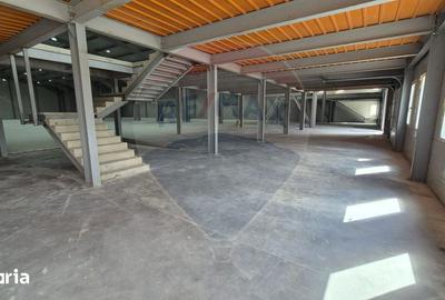 Spațiu comercial, de 4,113 mp, în Tunari - 5