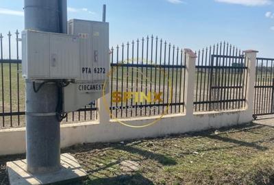 Teren Construcții intravilan de 53500 mp, în Ciocănești - 7
