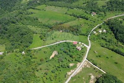 Teren de 30670 mp, în Codru Butesii - 1