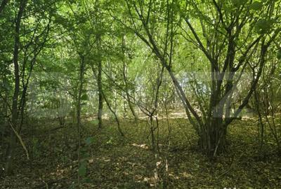 Teren de 524 mp, în Făget