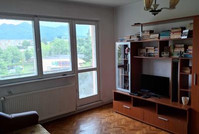 Apartament cu 2 camere semidecomandat în Drumul Carului - 5