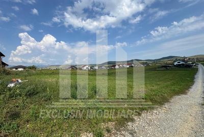 Teren Construcții intravilan de 700 mp, în Micești - 2