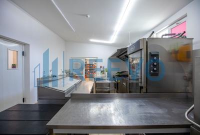 Proprietate specială, în Gârleni - 20