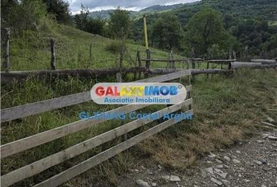 Vindem terenuri intravilane in Campulung - Arges 3400 si 1800 mp - 6